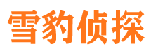 府谷寻人公司